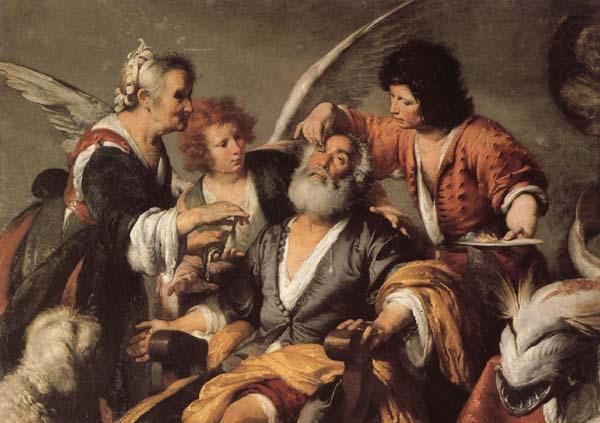 Bernardo Strozzi The Healing of Tobit china oil painting image